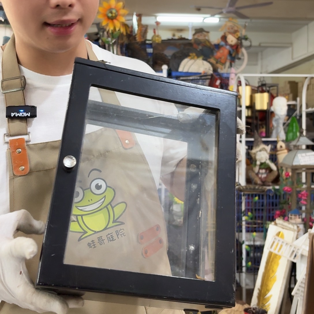 核桃木/黑胡桃（胡桃木）