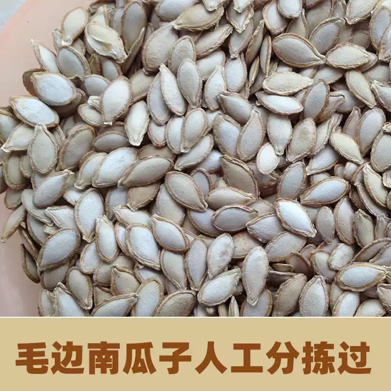 【峨山李红标】南瓜子新货云南毛边生南瓜子人工挑选颗粒饱满散装