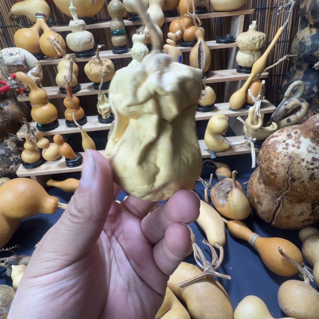 抽抽葫芦精品葫芦