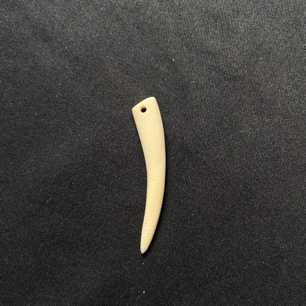 J22733 牙尖 只做天然猛犸牙