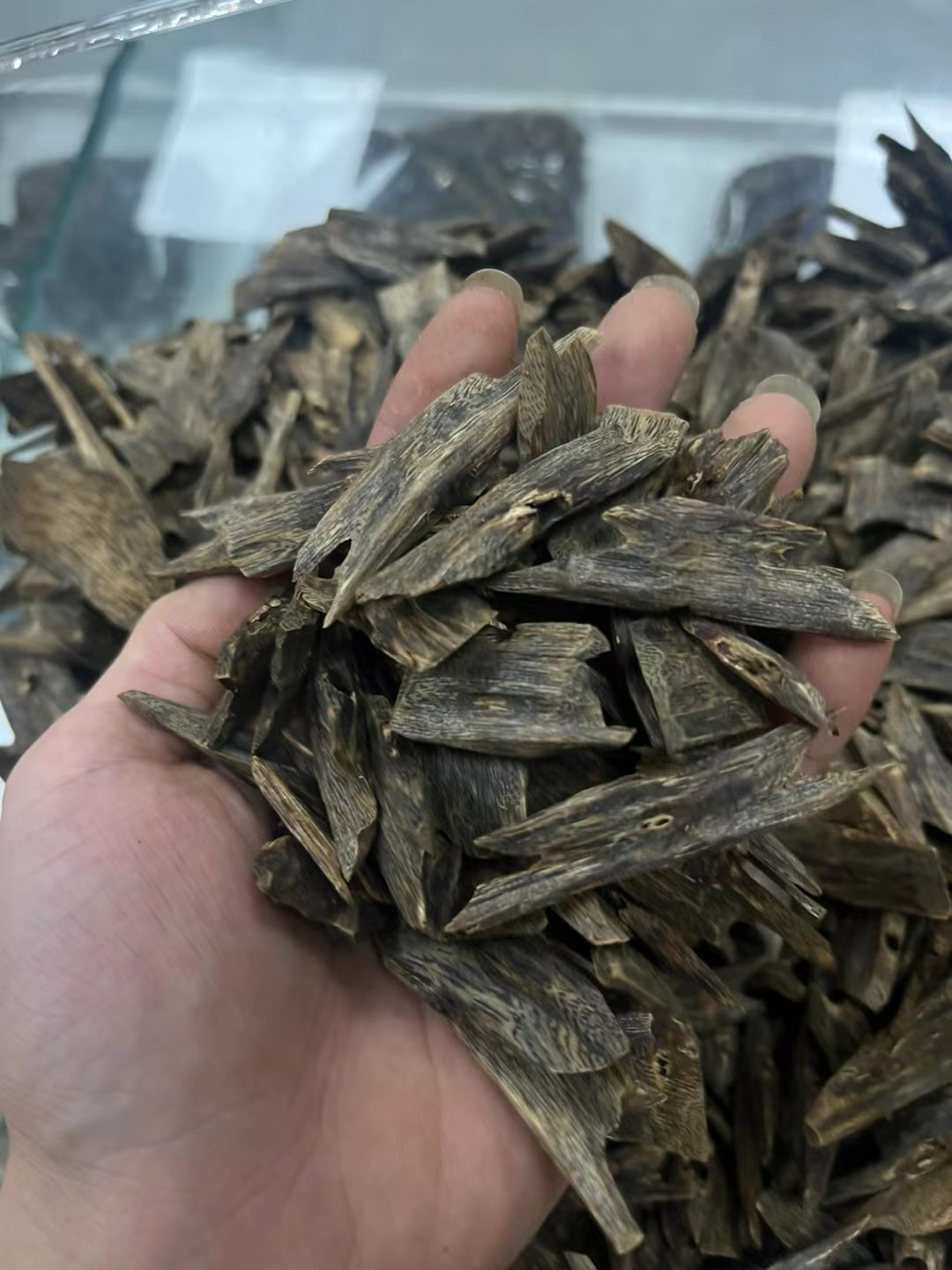 沉香绿棋块料全油脂99沉30克