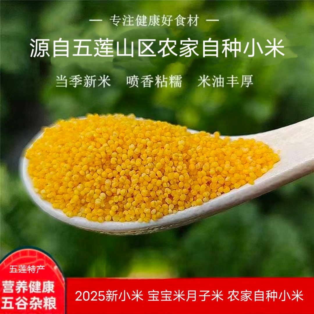 五莲山地小米 2025新小米 农家自种 新小米黄小米 月子米宝宝米