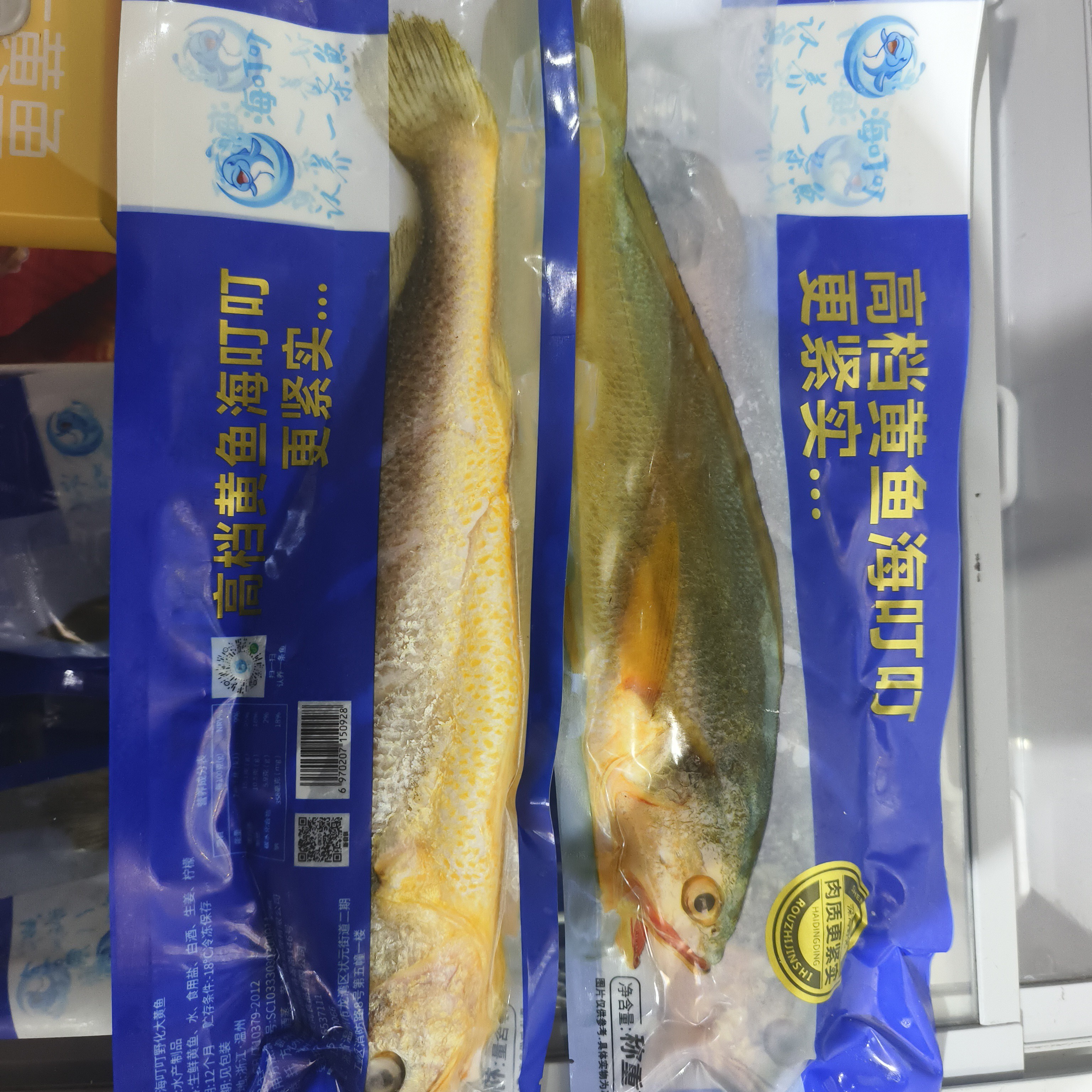 海叮叮温州北麂岛野化深海黄鱼