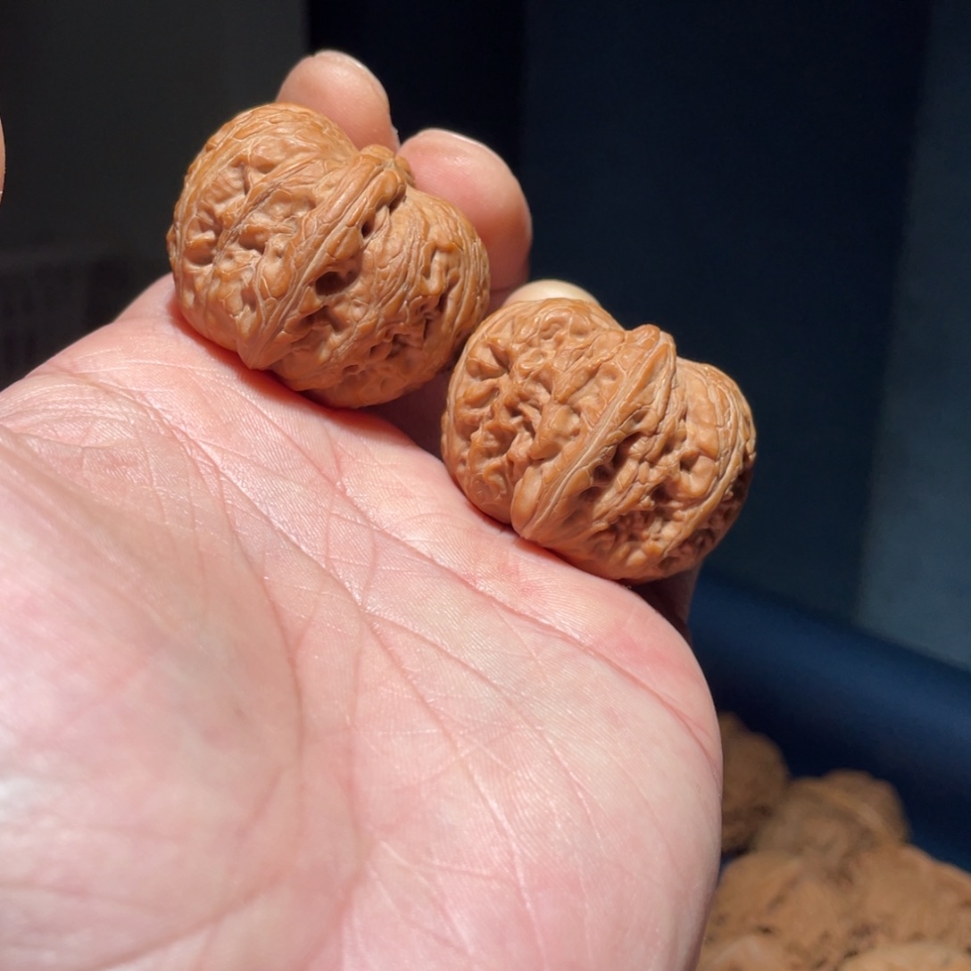 核桃手串/手链40元宝