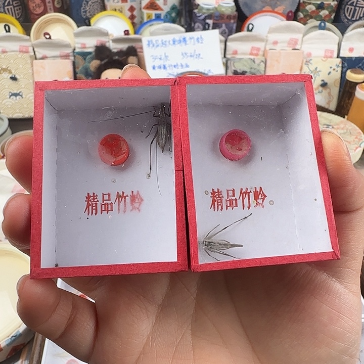 蟋蟀黑紫2志……和康……