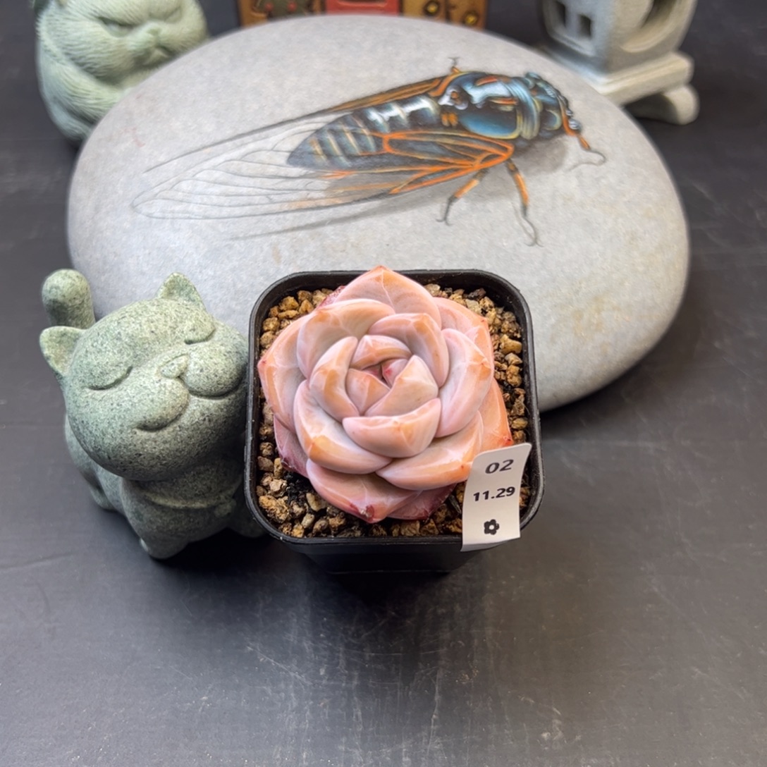 好好看02、哈哈哈哈哈