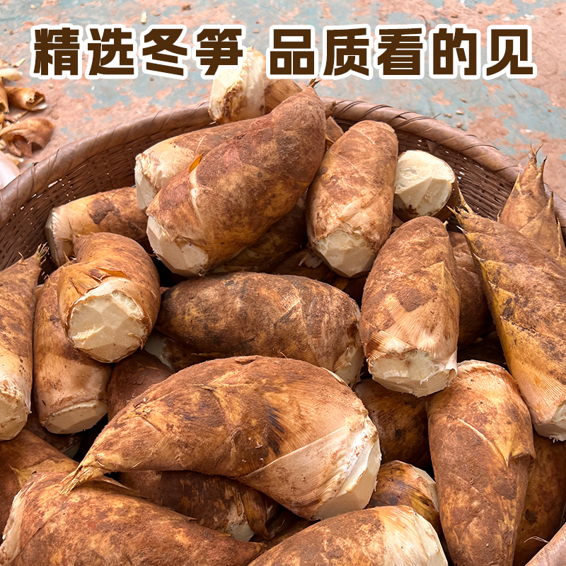 【大精品冬笋】贵州现挖现发高山野生冬笋新鲜肉厚脆嫩当季应季蔬