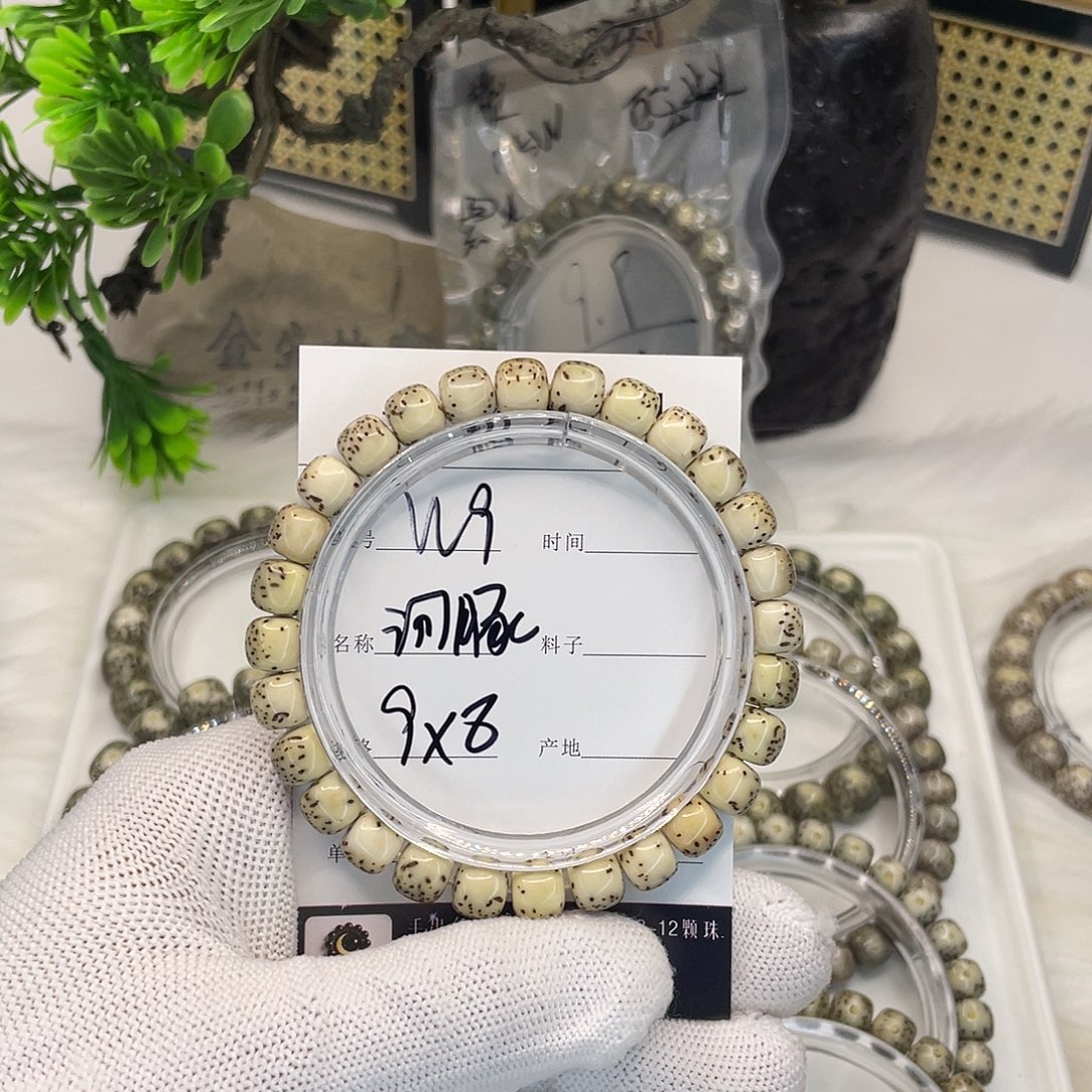 菩提籽类W9 河豚 9