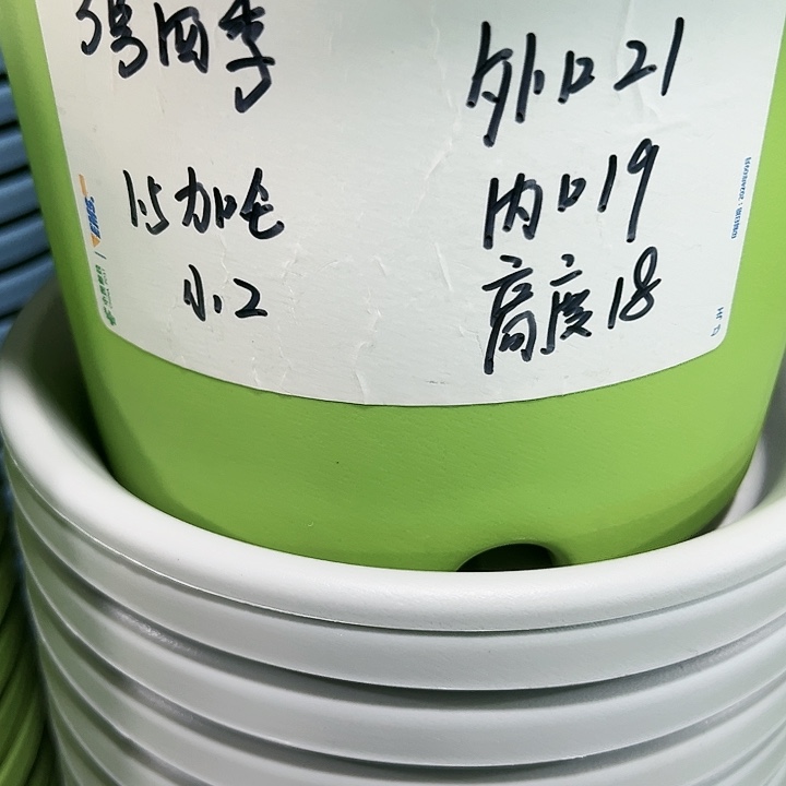 特价3号四季口21高18白色10个带托