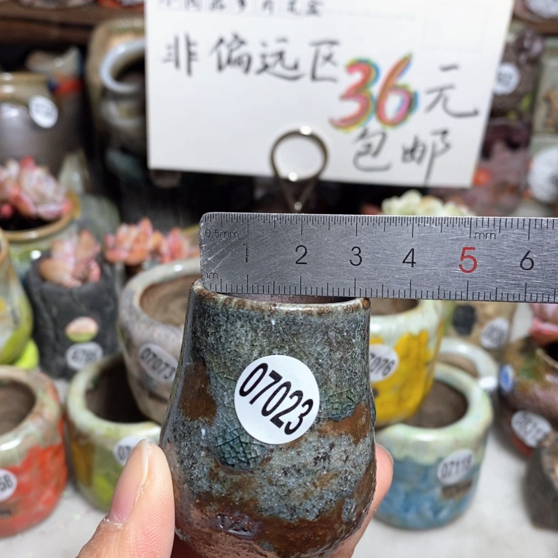 花盆拍5送一个小礼物