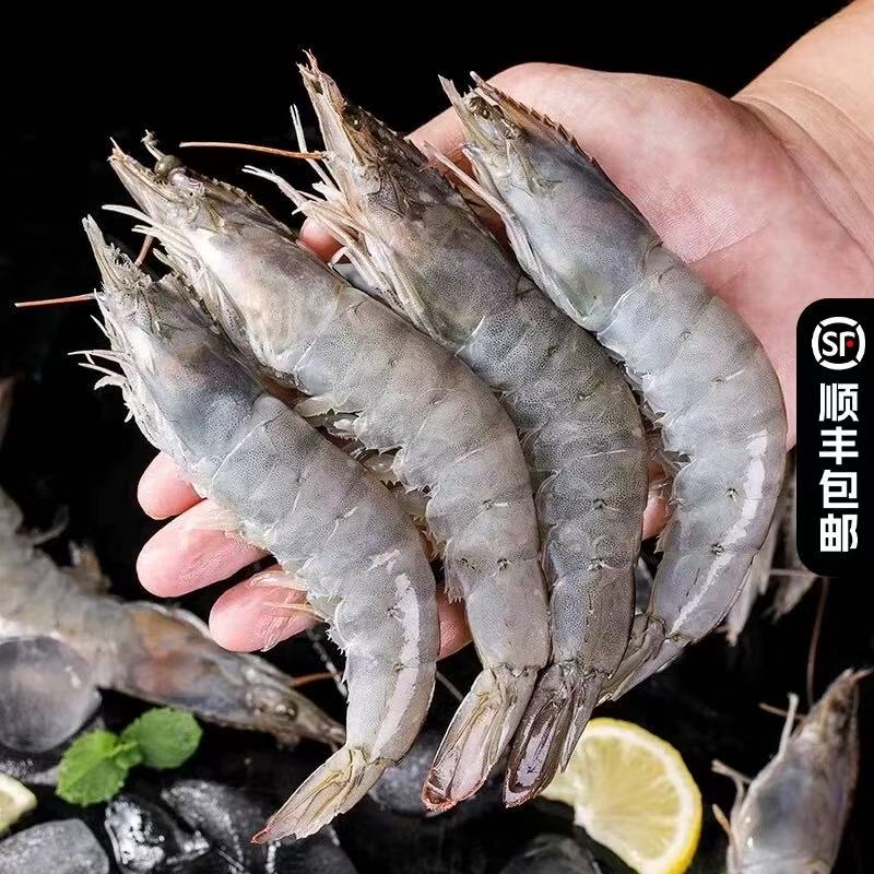 4斤20-30海洋大虾 3斤送1斤试吃 1斤10-15只 单只长度12-18cm 4斤共45-50只左右顺丰冷链急冻发货次日送达6.9