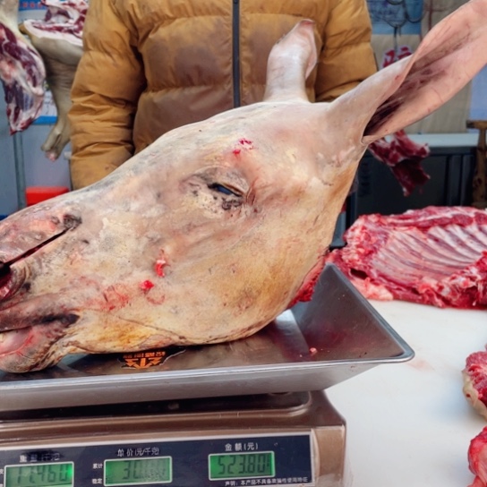 【闪购商品】冷冻保存30天包装河北省