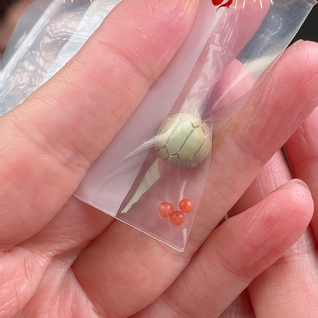 南红玛瑙珠宝奇石未镶嵌