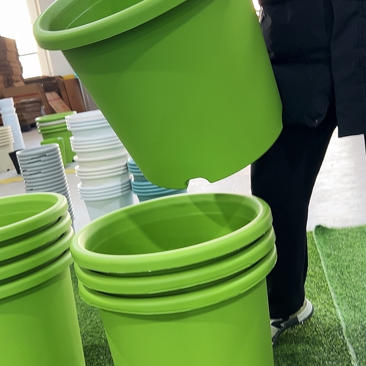 微瑕9号四季口46高40果绿无托4只