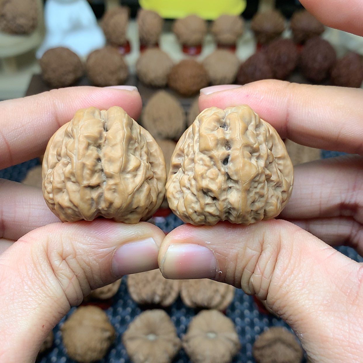 【闪购商品】文玩核桃把件全品蛤蟆头小36文玩核桃