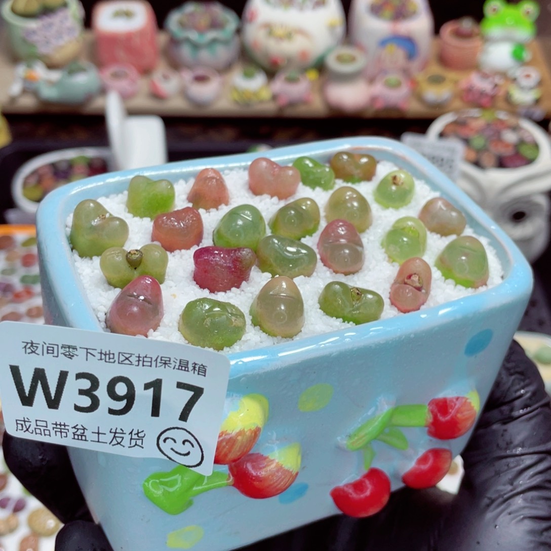 昀***你夜间零下地区拍保温箱w3917