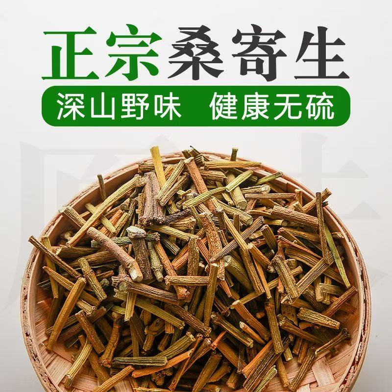 正宗精选野生桑寄生中药材正品甘肃新货桑寄生茶干货广西桑寄生粉