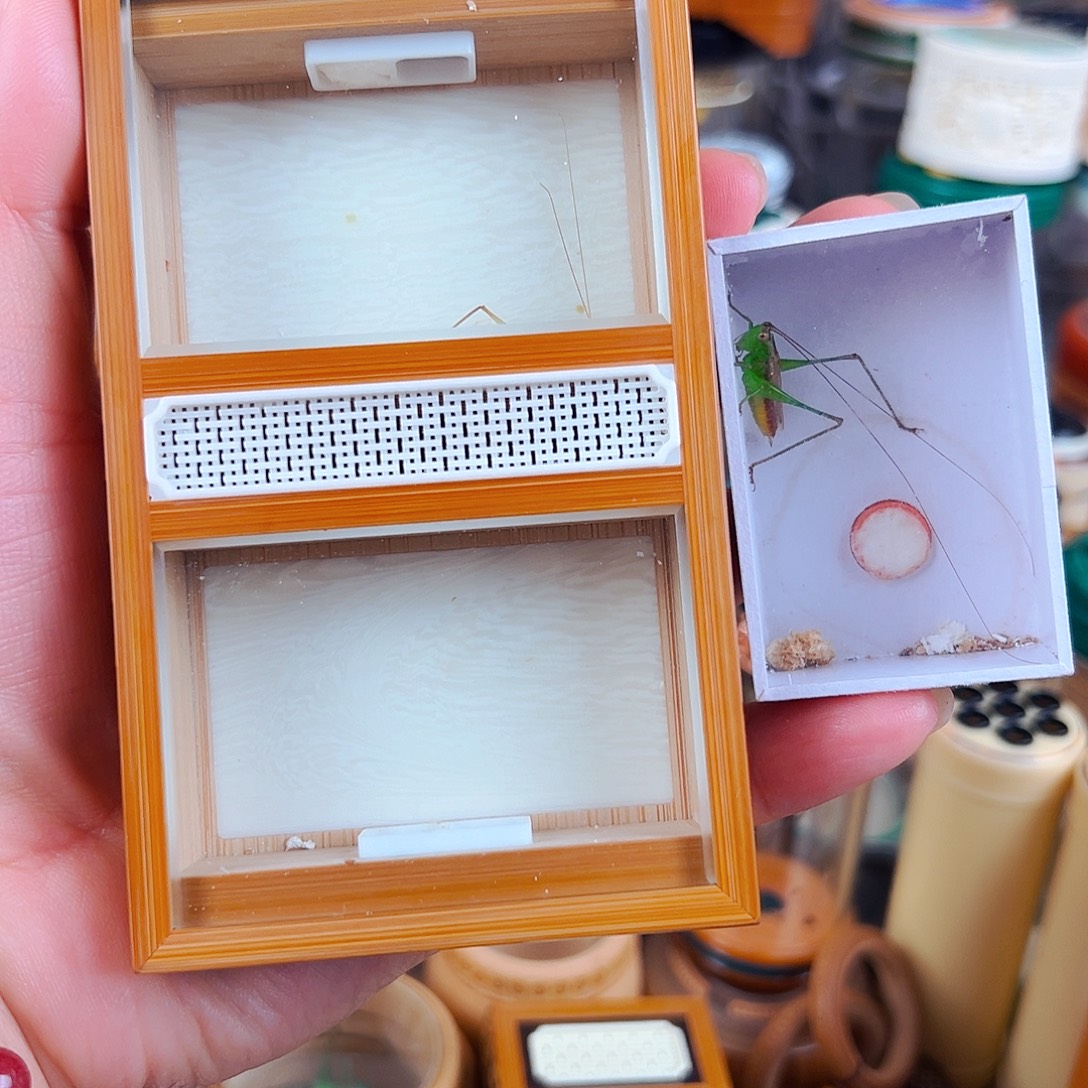 朱师傅双格竹林金钟盒配竹蛉糖果