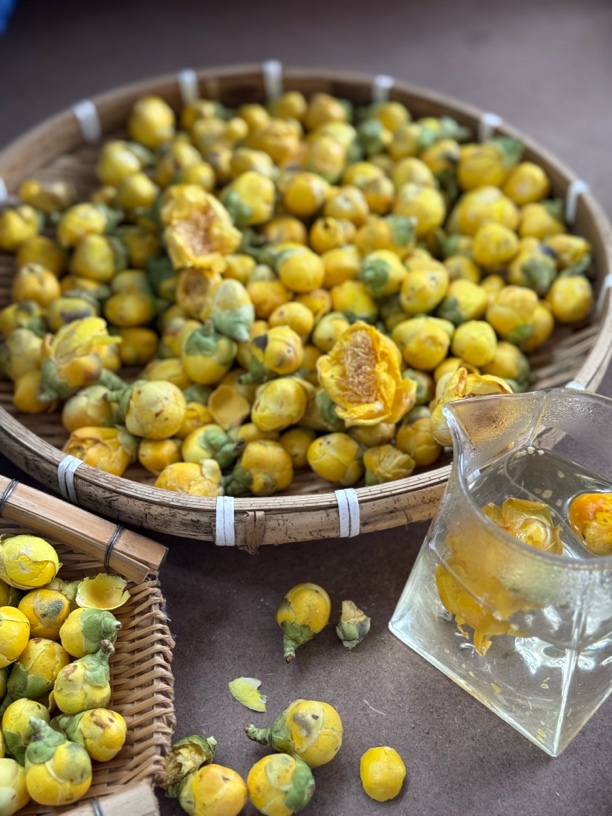 【大个山货】云南金花茶