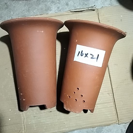 紫砂小红兰花两个