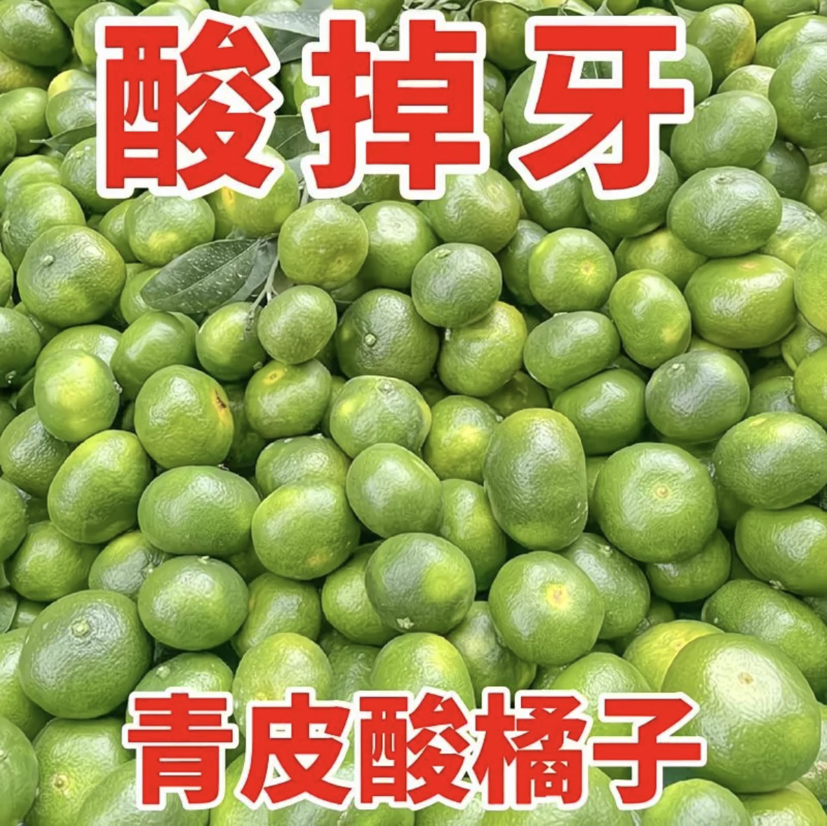 【青皮桔子】新鲜蜜桔现摘当季早熟青皮无籽桔子酸甜孕妇水果批发