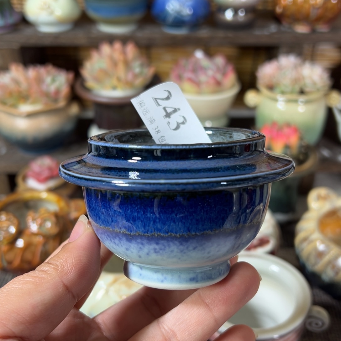 红陶景德镇手工花盆