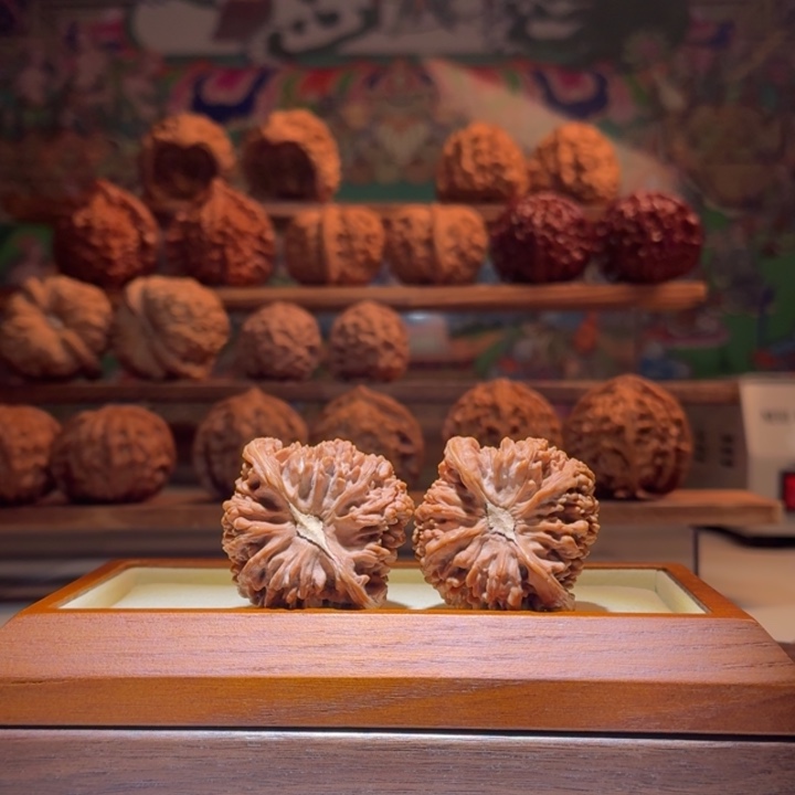 42全品满天星小碎纹