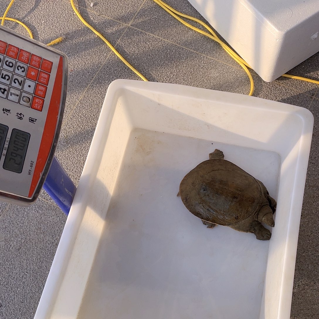 中国大陆123456785755