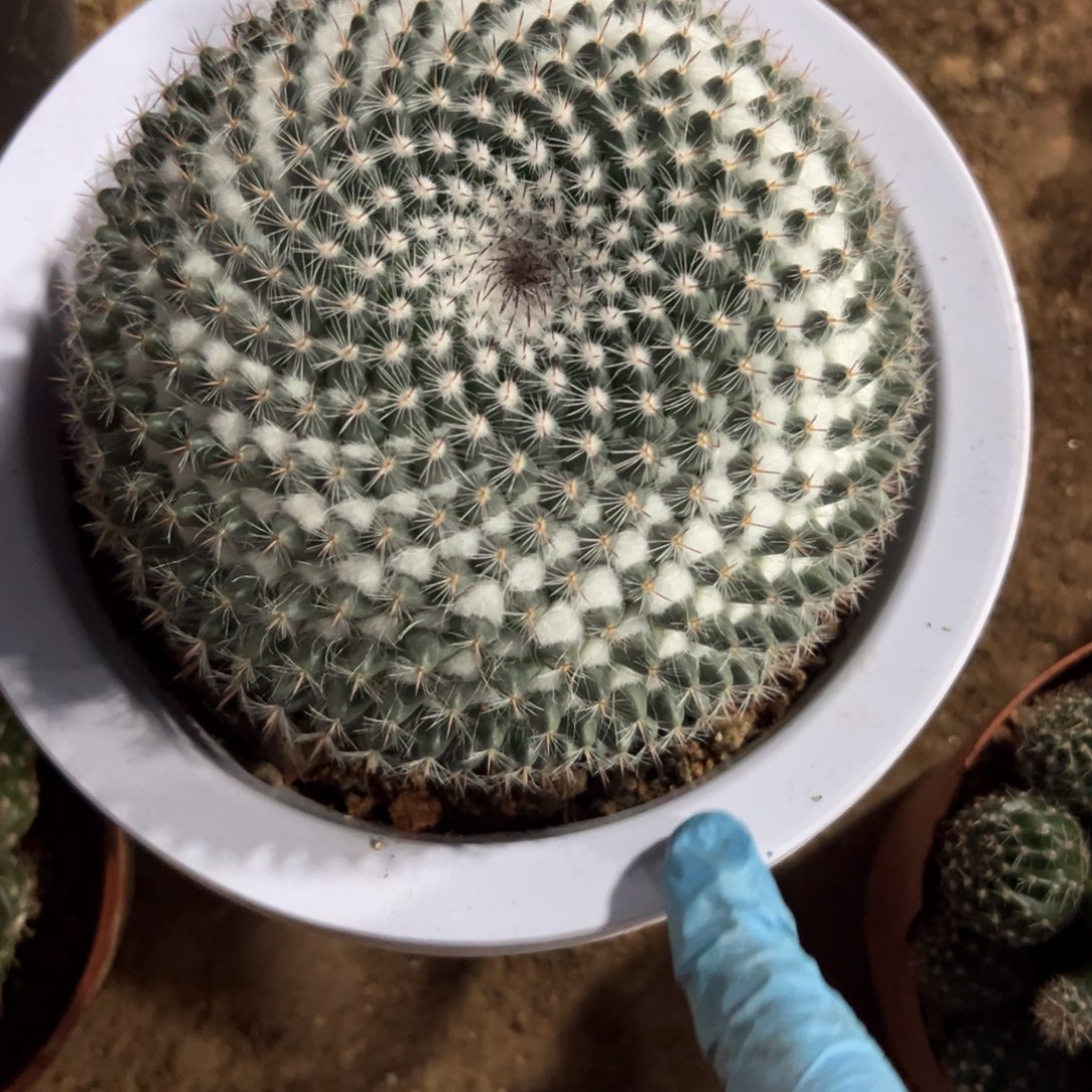 紫***星哈哈哈哈哈哈哈哈哈哈