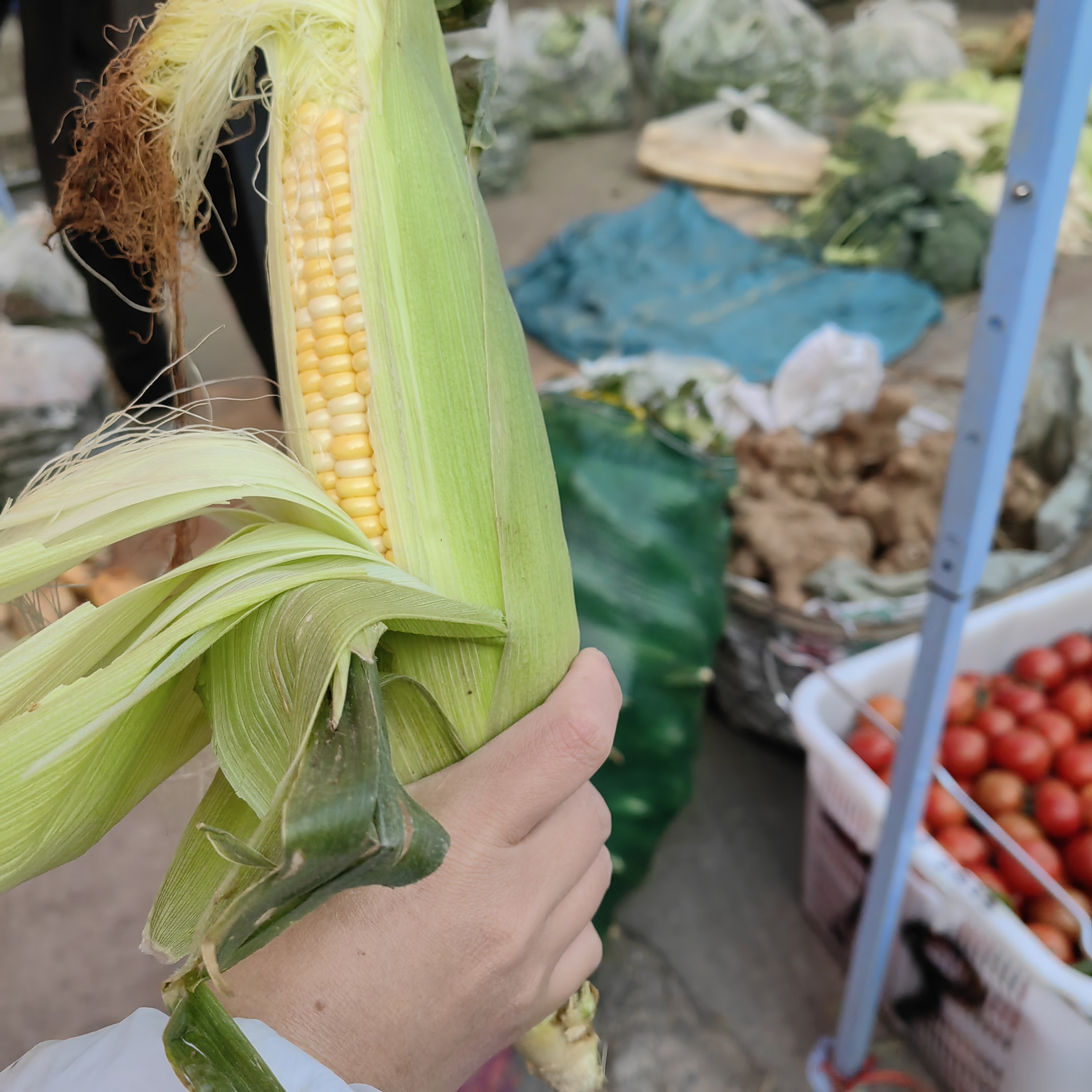 灵灵带你逛中缅大集 玉米