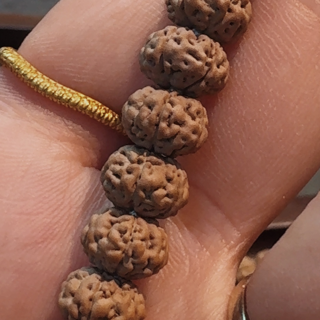 金刚菩提吊坠空*老树王新籽高货6张福利8加