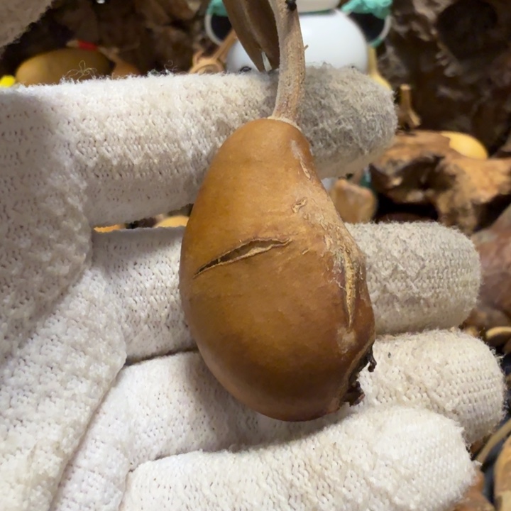 云***烟66666777667677777778