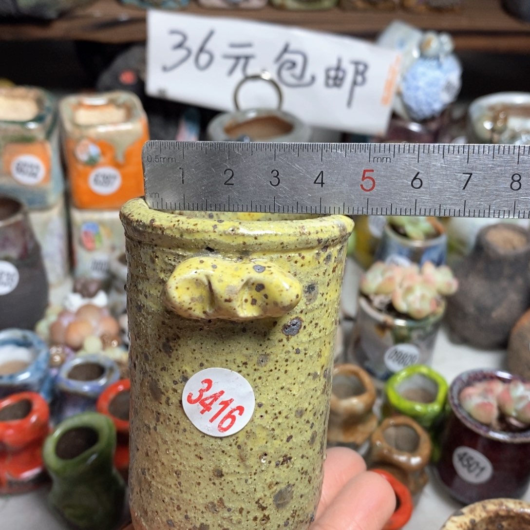 花盆拍3送个9·9的盆，拍5送同款