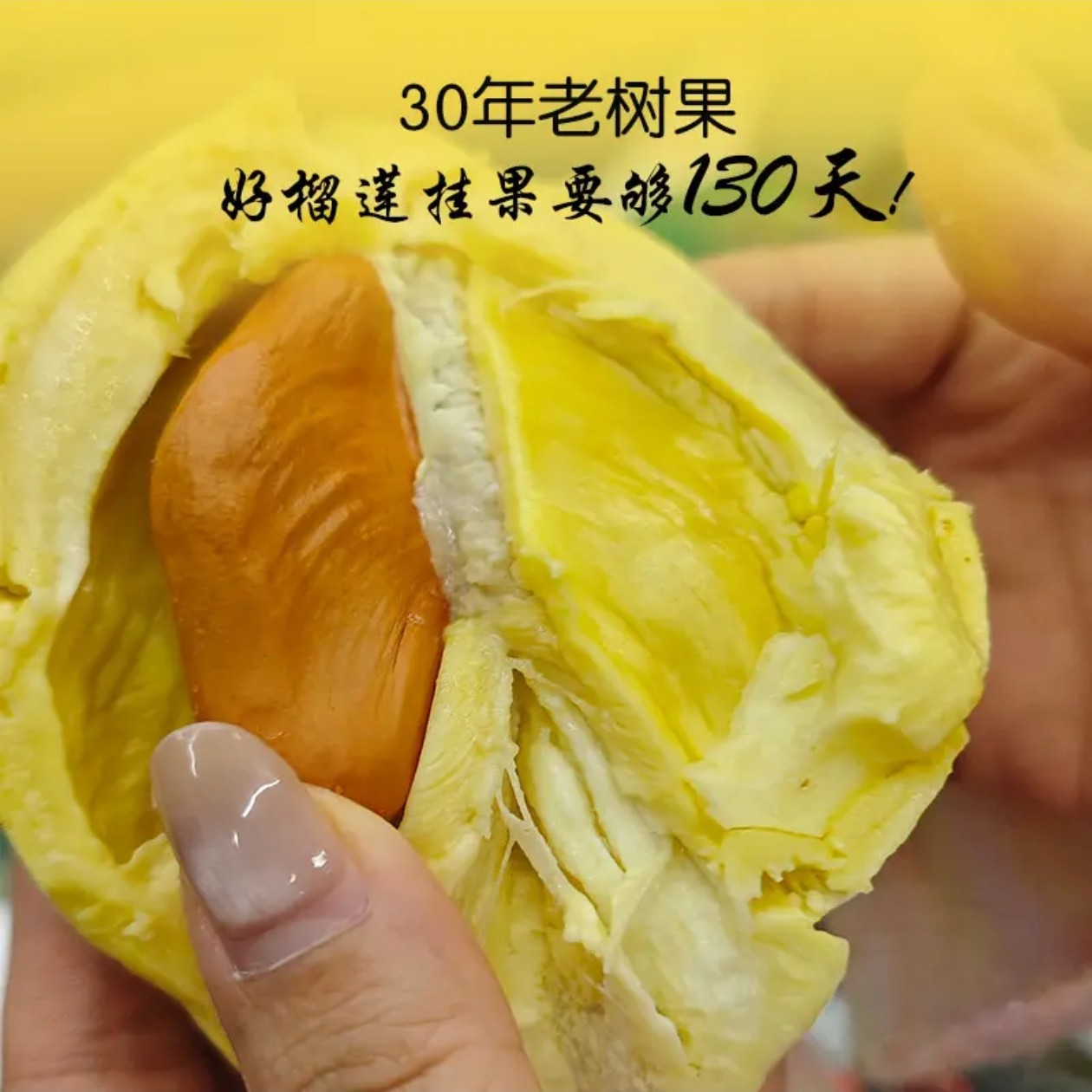 【八色东】定制版 空运泰国树熟金枕榴莲 3斤-8斤 鲜榴莲金枕 核小榴莲同城配金枕泰国