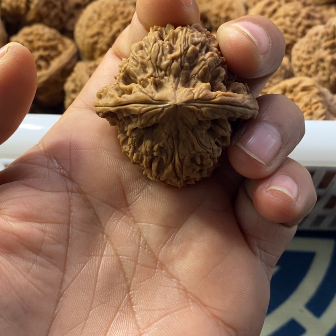 没***白吊坠文玩核桃南疆