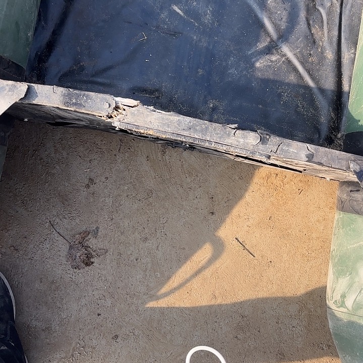 船船冲舟8558855885885885