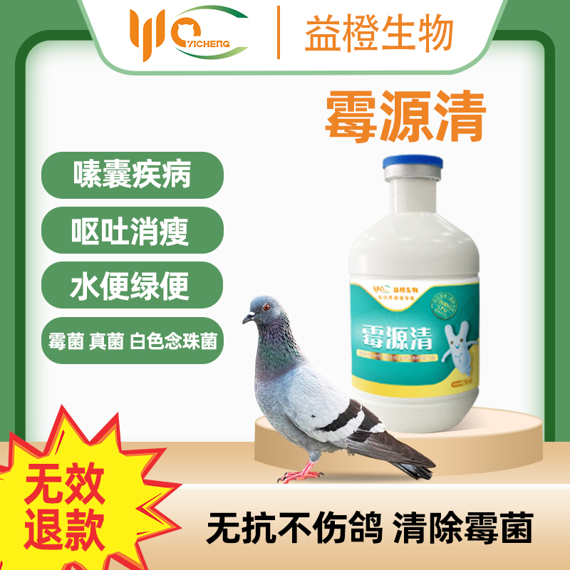 益橙霉源清霉菌真菌念珠菌解毒排毒改善脏腑