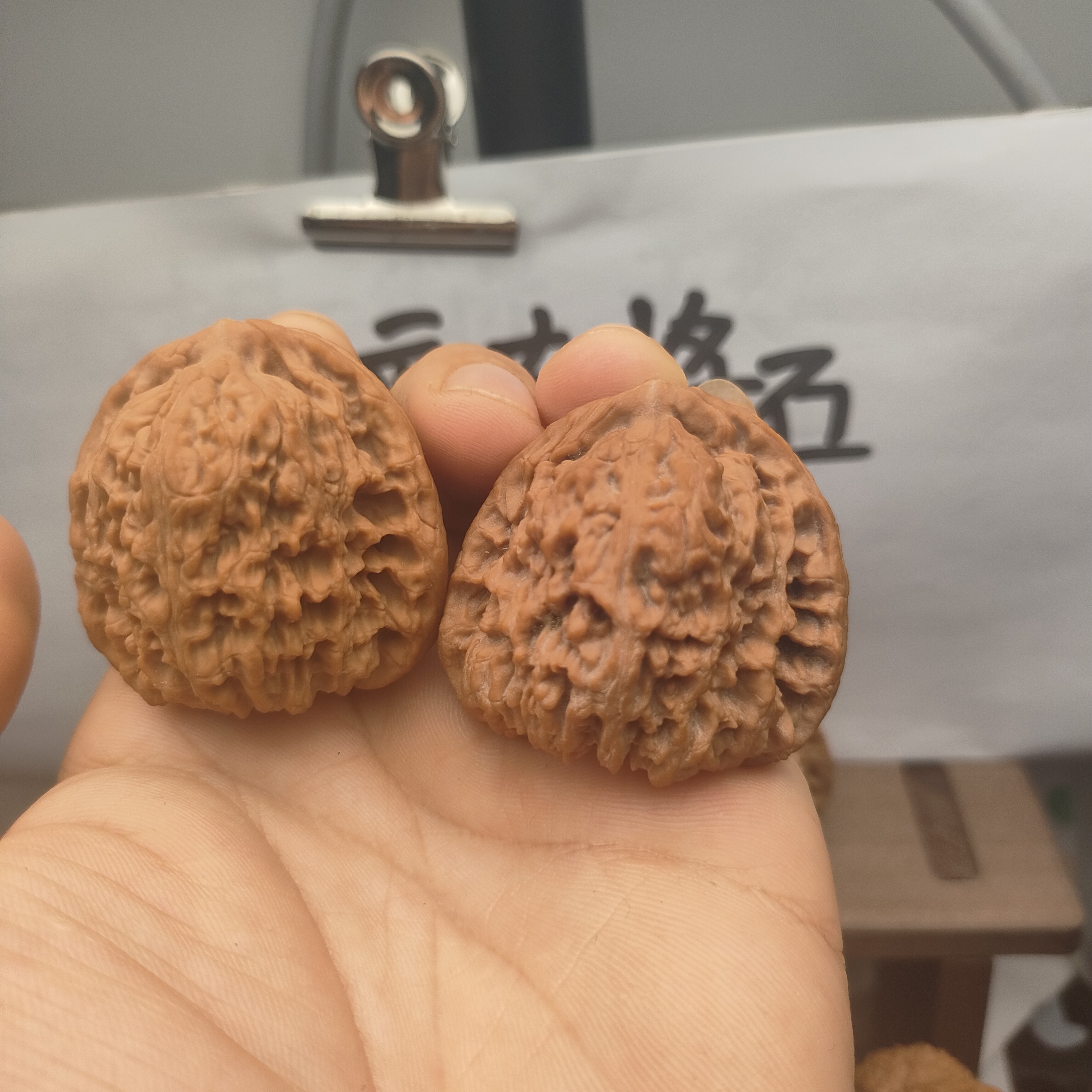 南将石老树新果全品无修