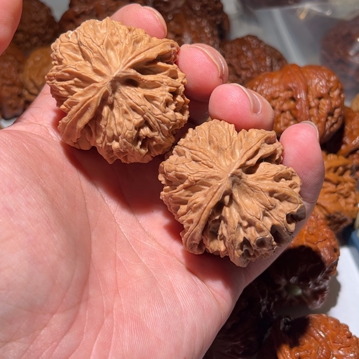 老***盘把件桃核狮子头核桃