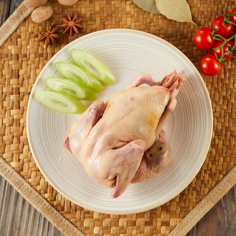 现杀老鸽 种鸽 成绩生鲜食用老鸽子炖汤