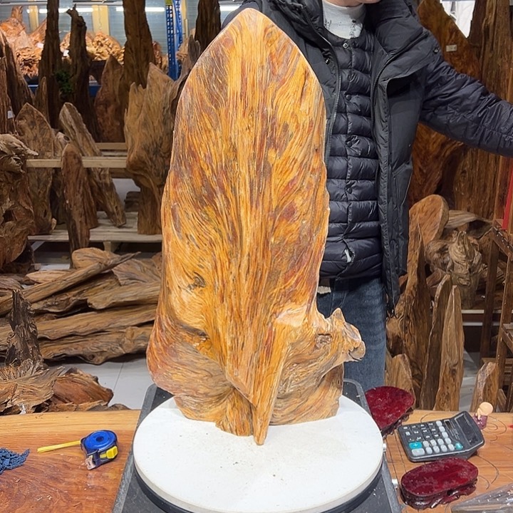 松木（琥珀木）～****8