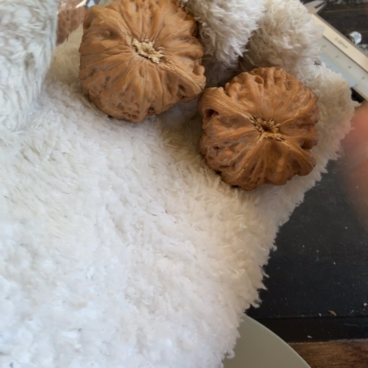 文玩核桃吊坠铁锤妹妹