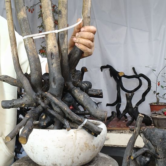 浪***宝无花朵一个一个一个一个一个