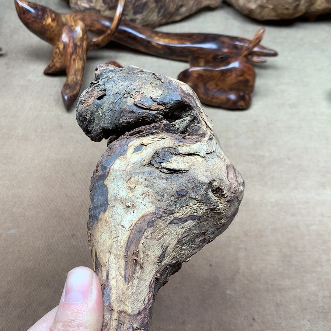 水***晶黄花梨/降香黄檀原材料品香料