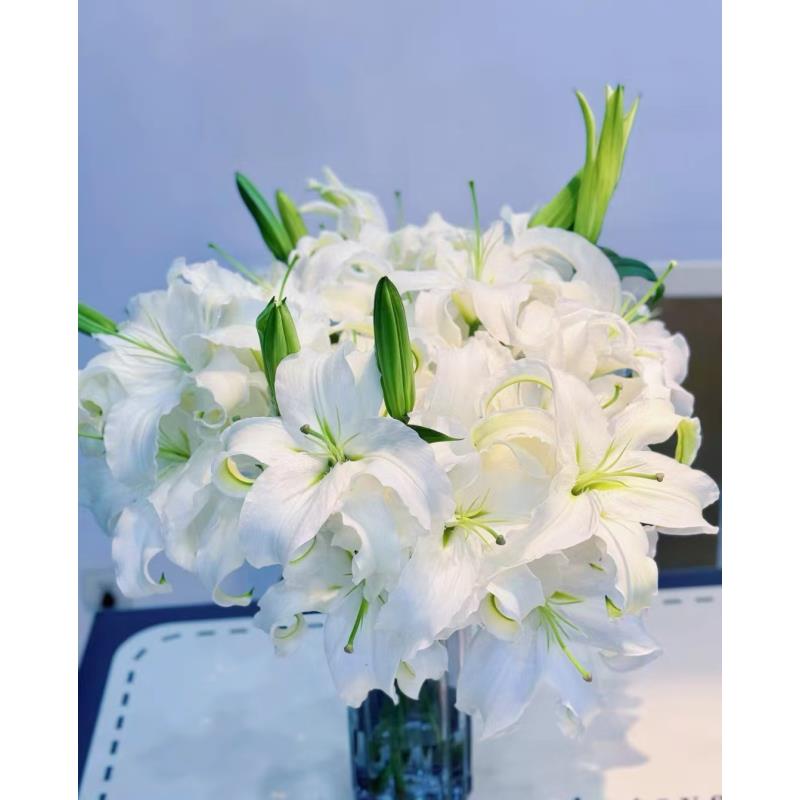 白色香水白色百合 9-10朵