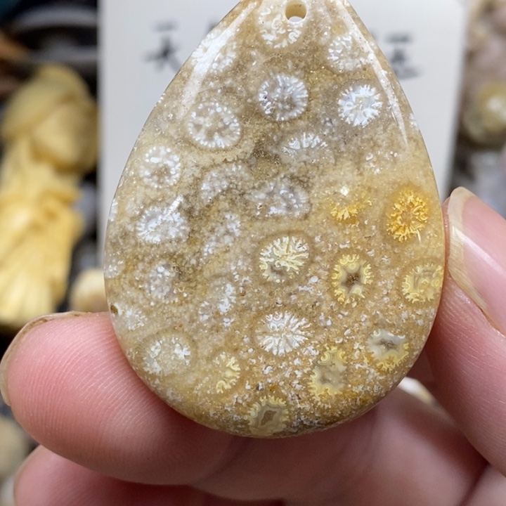 硅化珊瑚（珊瑚玉）未镶嵌颈饰