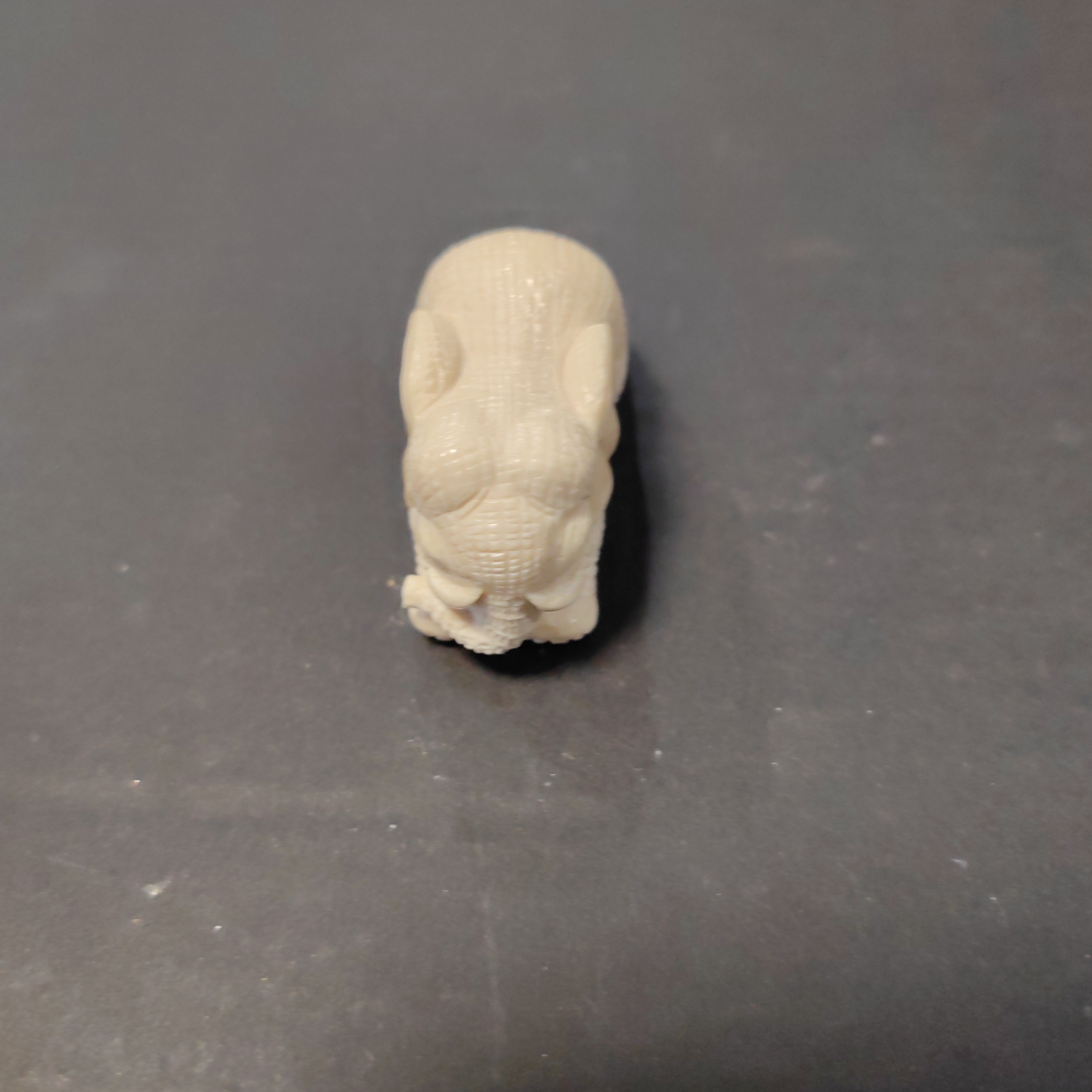 猛犸约18.8克牌子ZL4