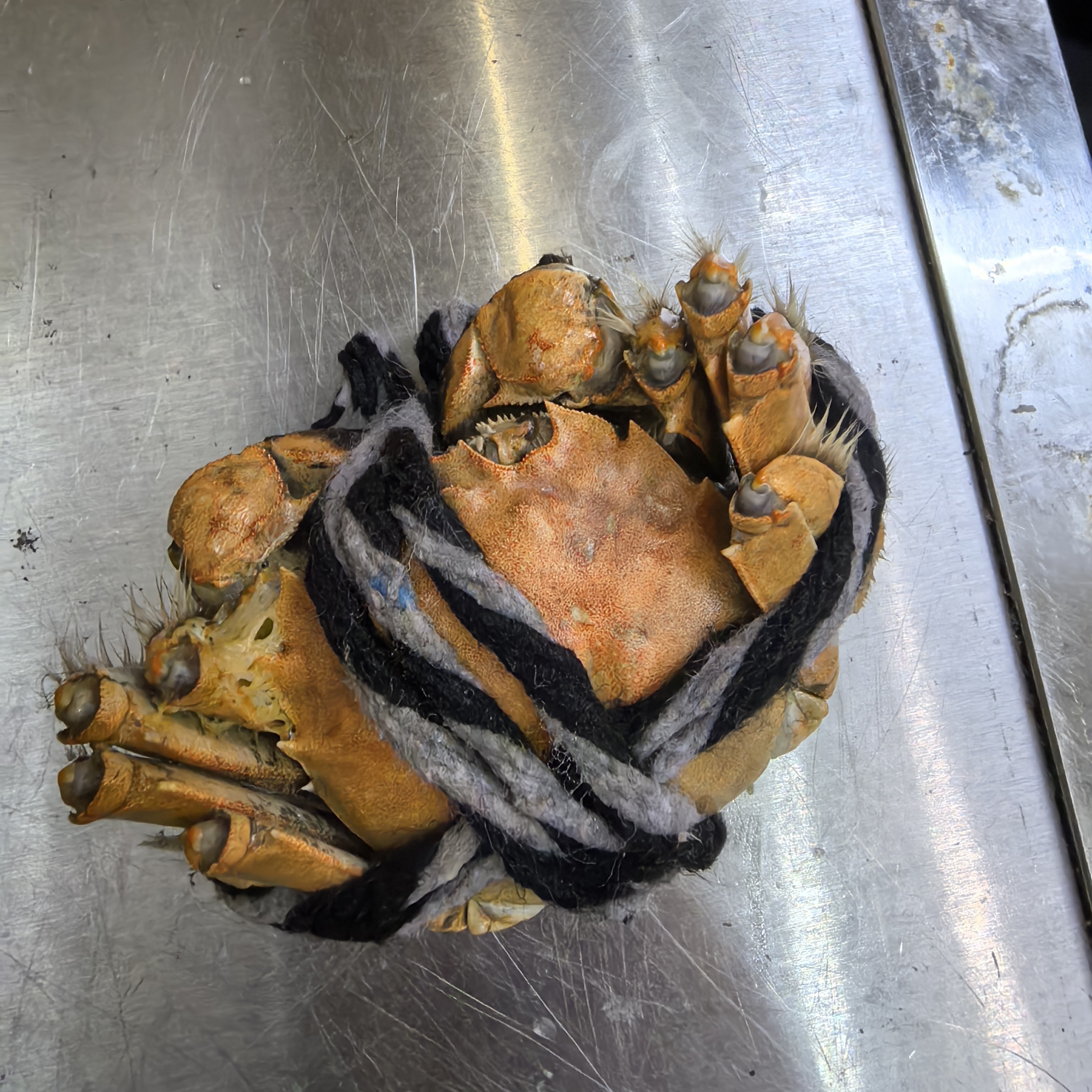 蒸烤熟食大河蟹49.9元一份6只装