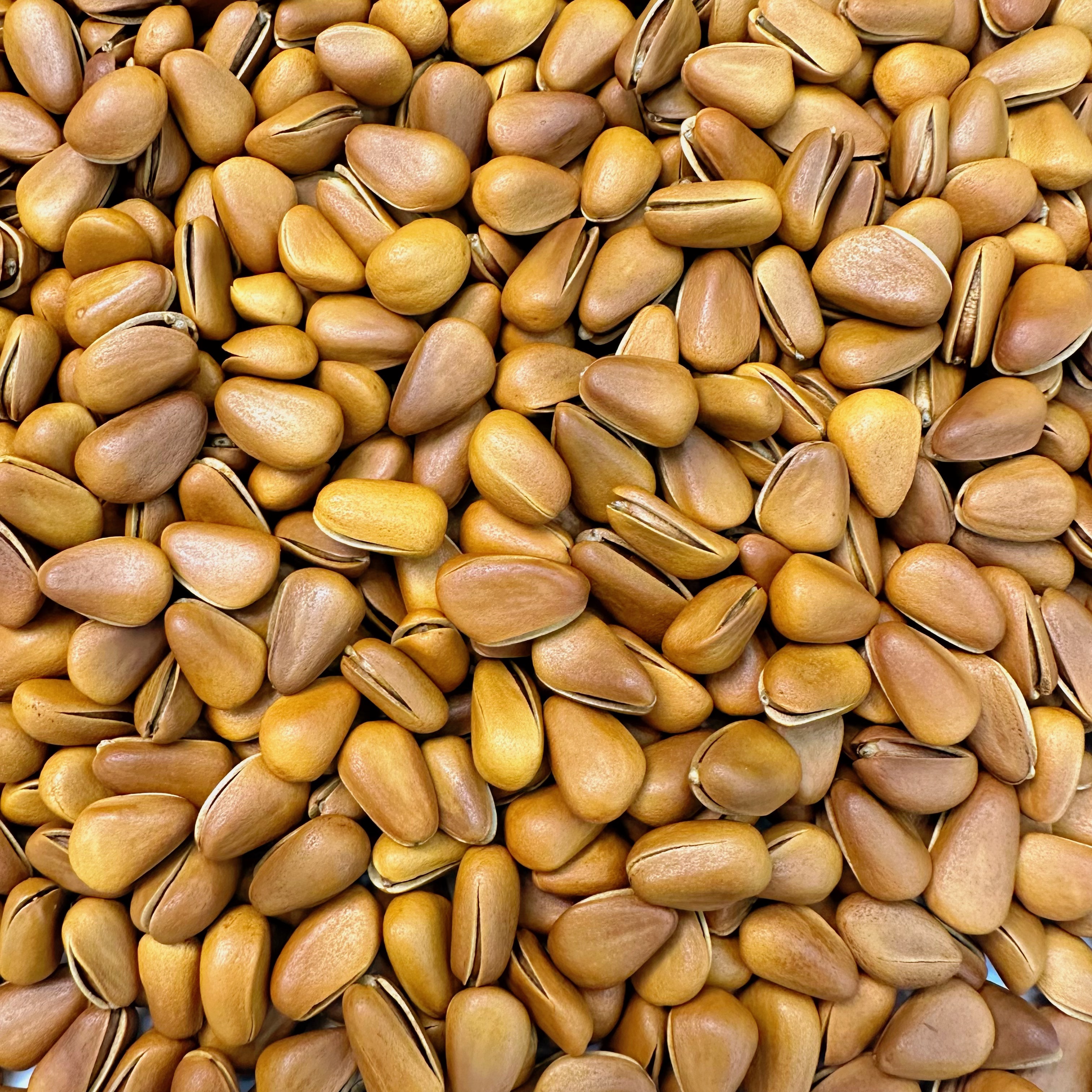 【二敏专属】2025年新松子 东北特产 开口松子