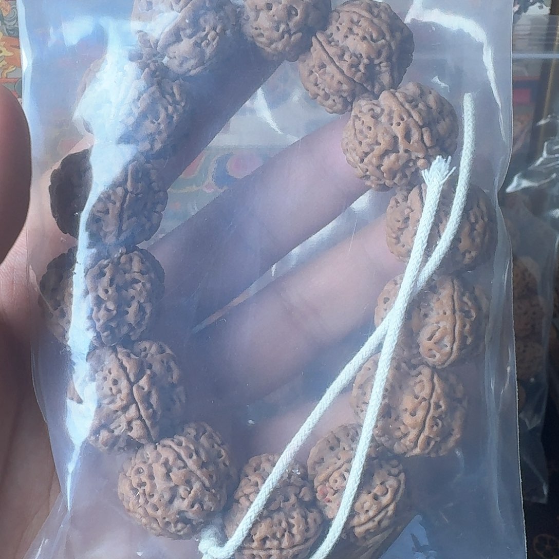 金刚菩提手串六瓣 爆肉   000000004